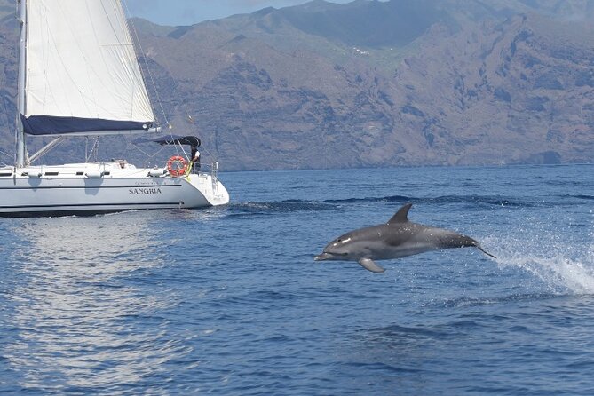 3-Hour Cetacean Watching and Snorkeling Tour in Tenerife - Common questions