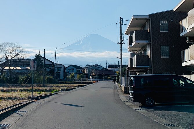 3-Hour Gotemba Food and Nightlife Izakaya Walking Tour - Insider Tips