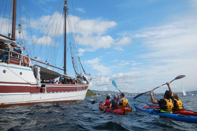 3- Hour Kayak Tour on the Oslofjord - Booking Details