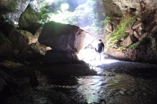 3-Hour Private Photography Tour in Waitomo Caves - Additional Information
