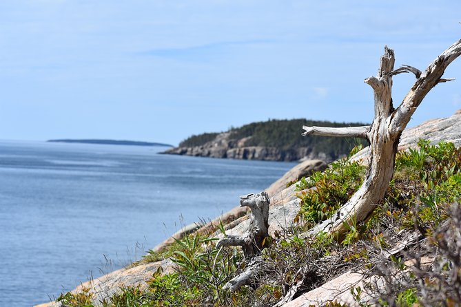 3 Hour Private Tour: Explore All the Top Spots of Acadia! - Last Words