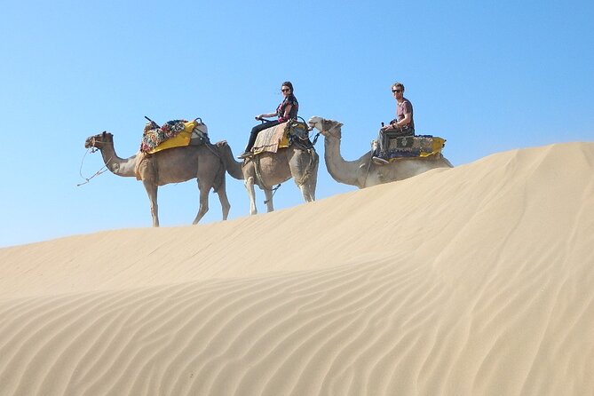 3 Hours Camel Ride in Essaouira, Beach and Dunes - Last Words
