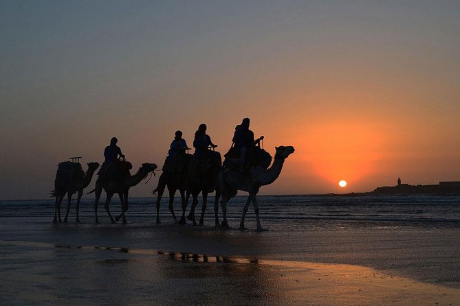 3 Hours Ride on Camel at Sunset - Common questions