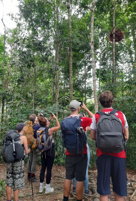 3D2N Orangutan Expedition:from Bukit Lawang - Expedition Highlights and Wildlife Encounters