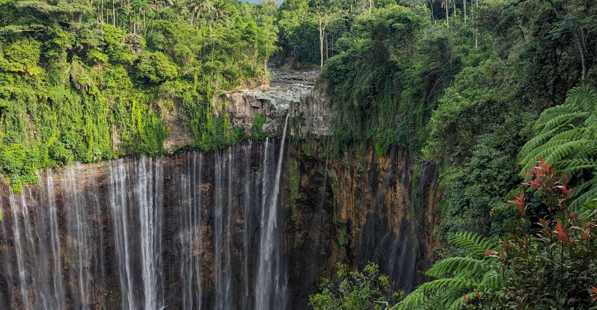 4 Days Road Trip East Java . Mt Bromo, Mt Ijen - Highlights and Must-See Spots