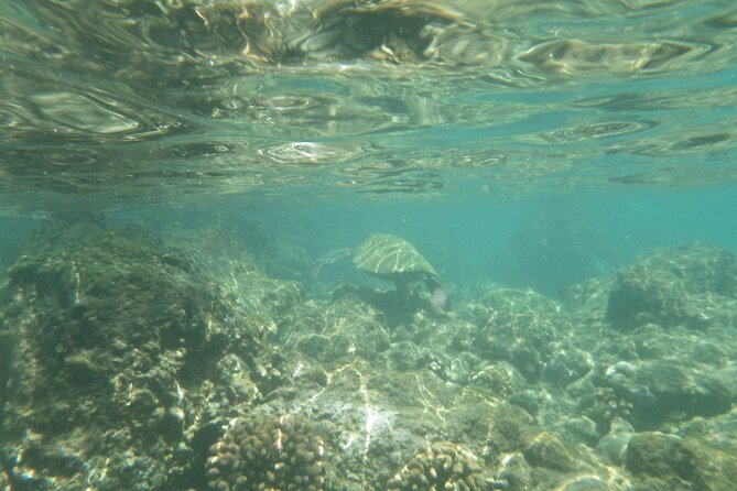 4-hour Kailua-Kona Ocean Kayak and Snorkel Tour - Highlights and Experiences
