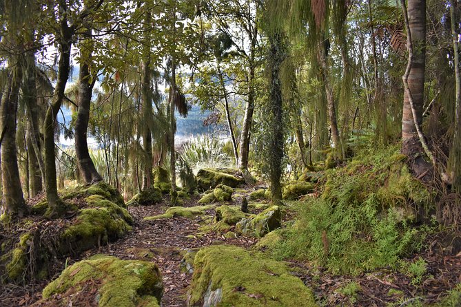 4-Hour Lake Mapourika Kayak and Hike Adventure, With Okarito Kiwi Sanctuary - Additional Information and Features
