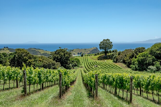 4-Hour Scenic Wine Tour With a Private Guide and 12 Tastings - Vineyard Visits