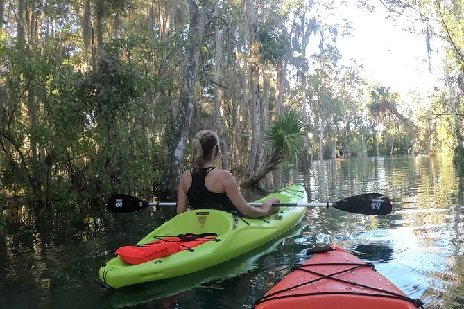 4 Hour Single Kayak Rental In Crystal River, Florida - Common questions