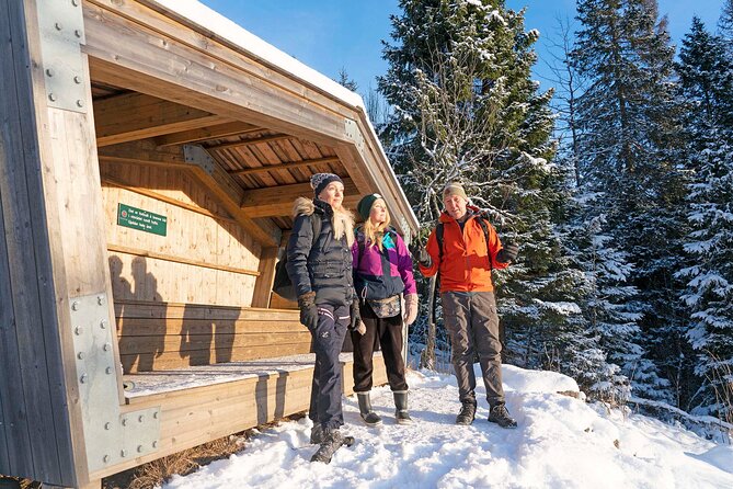 4 Hours Winter View of the Oslofjord Walk Tour - Photography Opportunities