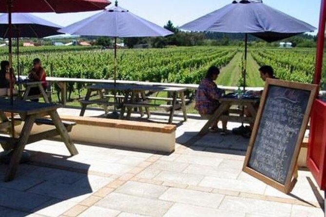 5 Hour Martinborough Shared Chefs Wine Tour With Gourmet Lunch - Customer Reviews and Feedback