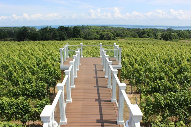 5-Hour Traverse City Wine Tour: 4 Wineries on Old Mission Peninsula - Important Tour Information and Tips
