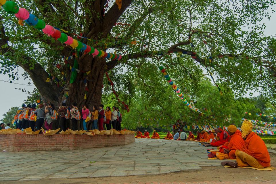 6 Day Tour of Kathmandu and Lumbini - Additional Information and Cancellation Policy