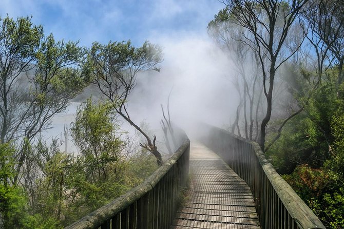 6 Hour Small-Group Rotorua Naturally Shore Excursion From Tauranga - Transportation Details