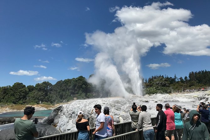 6hr Rotorua Geothermal Wonderland Tour - Departs Tauranga - Host Appreciation and Responses