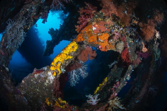 7 Fun Dives in Tulamben (For Certified Divers) - Premium Value Package - Drift Diving Experiences