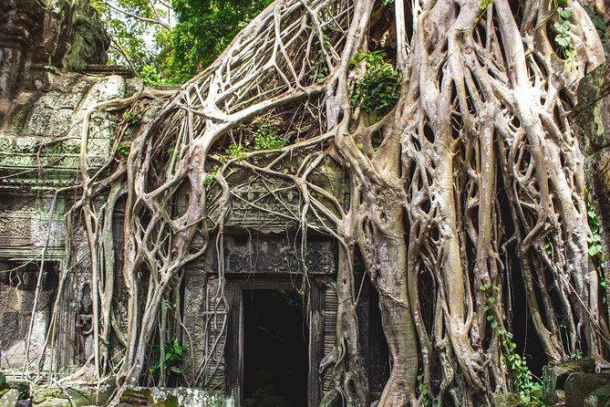 7-must See Temples in Angkor Park (Private Guided Tour) - Temple 5: Preah Khan
