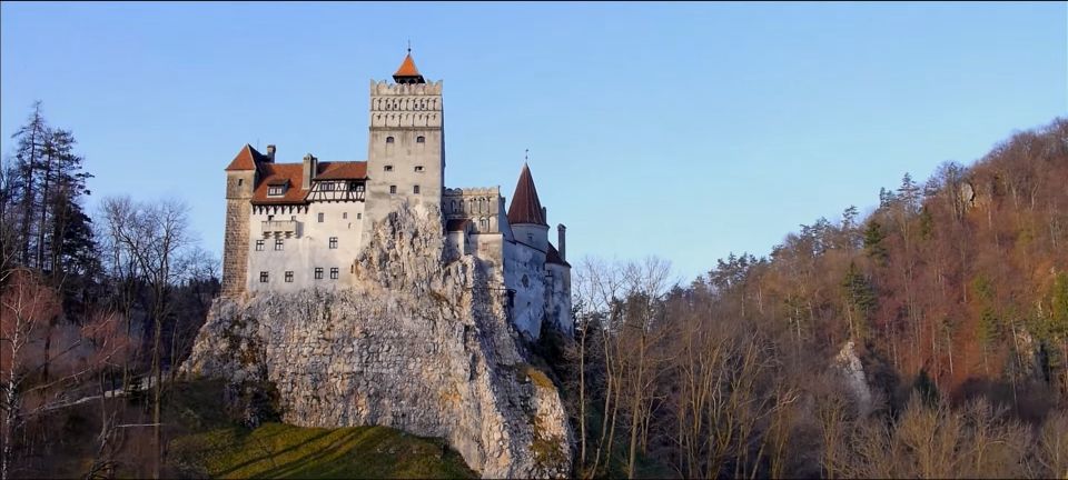 7h Dracula's Castle Private Tour From Bucharest - Fast Tour - Feedback