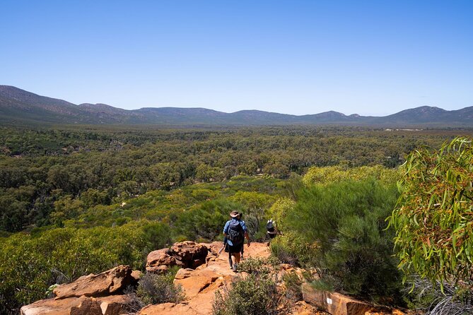 8 Day Uluru to Adelaide Cultural and Adventure Tour - Accommodation Details