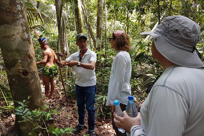 8-Hour Amazonas Jungle Treck & Anavilhanas Archipelago - Anavilhanas Archipelago Exploration