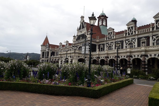 A 2 Hour Small Group Dunedin City Highlights Tour - Reviews and Feedback