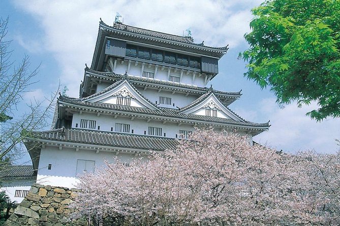 A Day Charter Bus Tour Around Cherry Blossoms in Northern Kyushu - Directions to Tour Locations