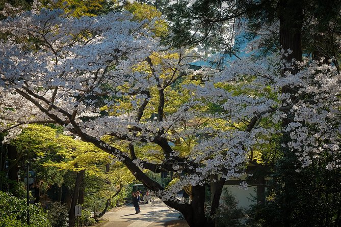 A Fun Day Out Discovering Kamakura - Strolling Through Komachi Street