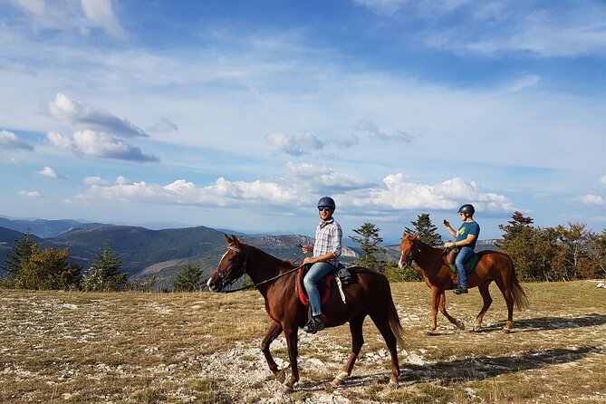 A Small-Group, Guided Haute-Provence Horseback Tour (Mar ) - Reviews and Pricing