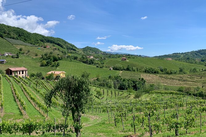 A Sparkling Day in the Prosecco Hills- From Venice - Memorable Prosecco Experience