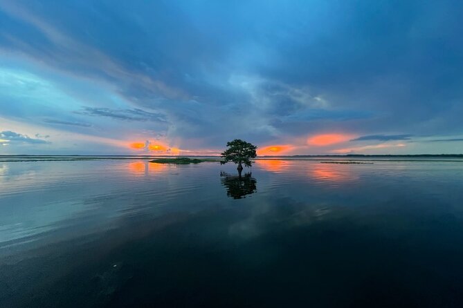 A Sunset Airboat Tour of the Florida Everglades (Mar ) - Customer Feedback and Reviews