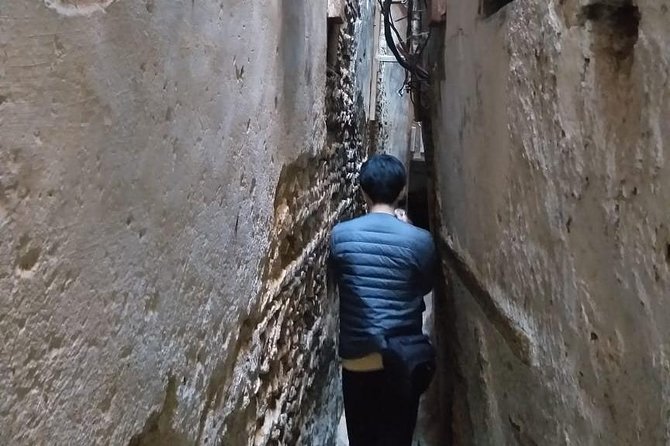 A Unique Experience In Fes With A Guide And A Driver (Full Day) - Discover Modern Fez Culture