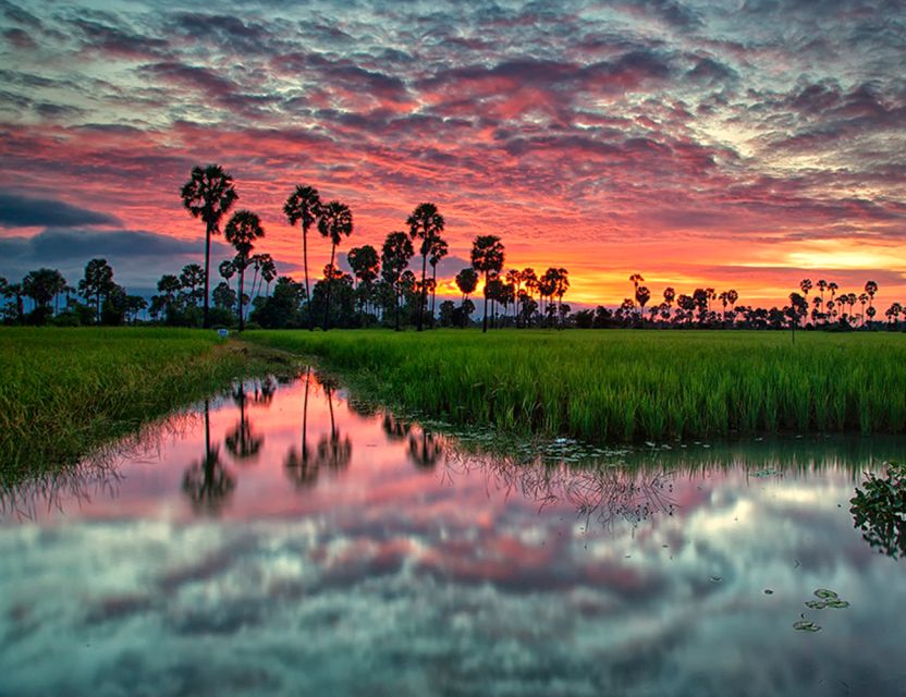 Activities Shouldn't Miss Out In Siem Reap - Enjoy Sunset Views Over Rice Paddies