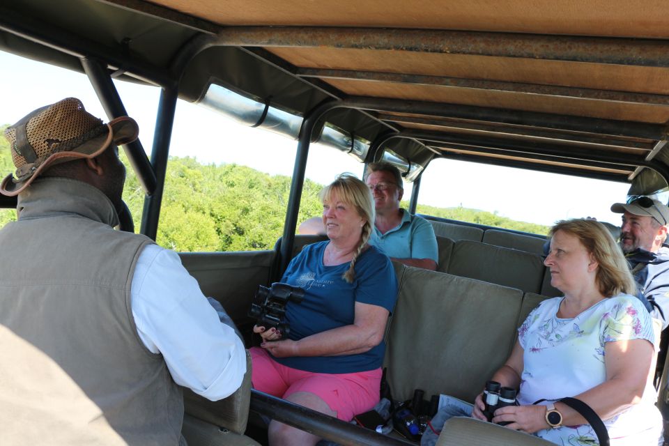 Addo Elephant National Park Game Drive Day Tour With Lunch - Visitor Reviews