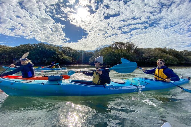 Adelaide Dolphin Sanctuary and Ships Graveyard Kayak Tour - Customer Feedback and Recommendations