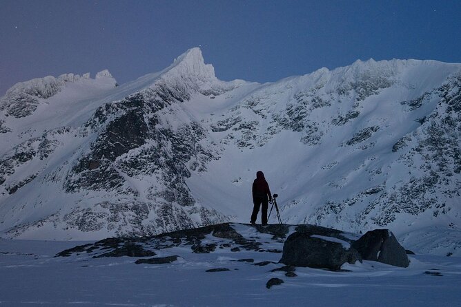 Adults Only Aurora Hunt Tour With Citizen Science in Tromso - Positive Experience