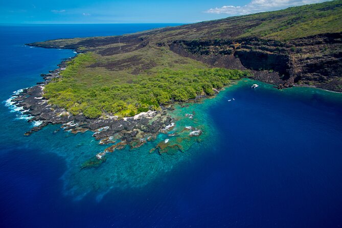 Afternoon Kealakekua Snorkel Tour - Traveler Experience and Reviews