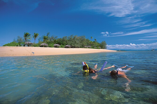 Afternoon Low Isles Snorkeling & Sunset Sail From Port Douglas - Common questions