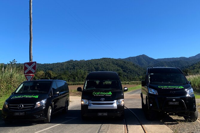 Afternoon Tour Mossman Gorge & Daintree River From Port Douglas - Safety and Comfort Measures