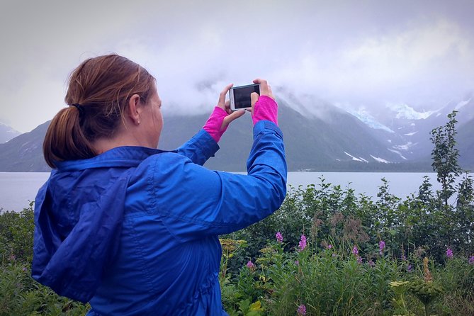 Afternoon Wilderness, Wildlife, Glacier Experience From Anchorage - Cancellation Policy
