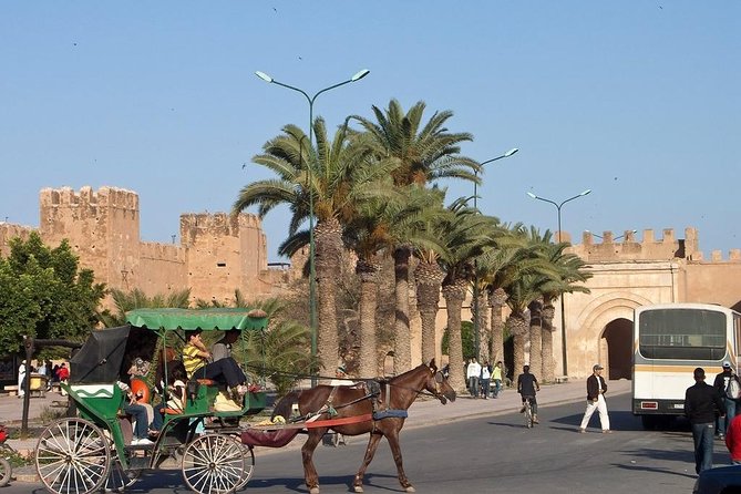 Agadir Morocco: Day Trip to Taroudant & Tiout Oasis With Lunch - Traveler Resources