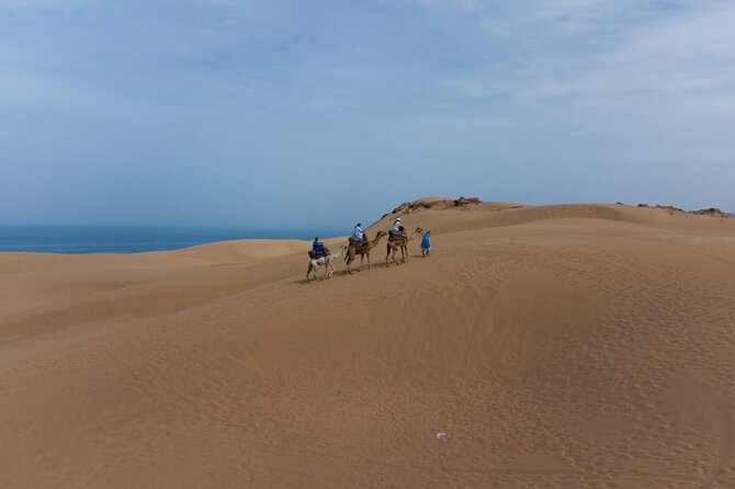 Agadir Sand Dunes and Camel Ride in Tifnit With Lunch - Customer Reviews