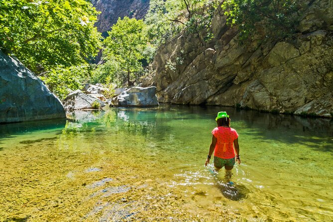 Agadir Taghazout: Paradise Valley & Atlas Mountains Swimming Trip - Traveler Recommendations and Tips