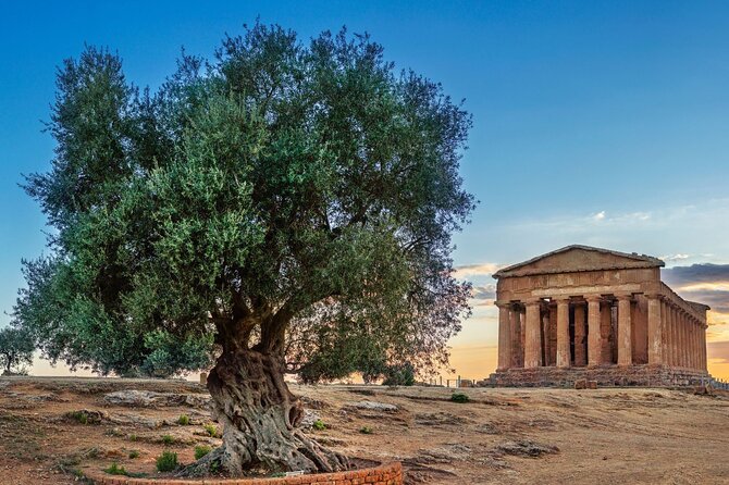 Agrigento; Valley of the Temples, Scala Dei Turchi From Palermo, Private Tour - Helpful Traveler Resources