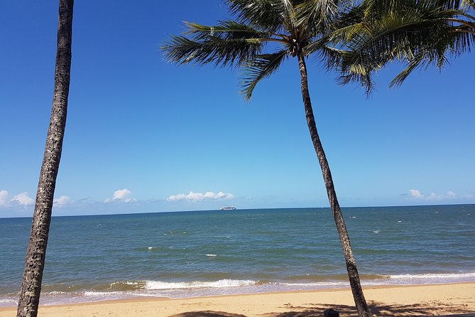 Airport Transfers Between Cairns Airport and Palm Cove - Issues and Concerns Raised by Customers