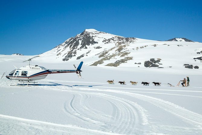 Alaska Helicopter and Glacier Dogsled Tour - ANCHORAGE AREA - Tour Logistics