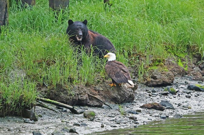 Alaska Native Cultural Immersion Experience and Ketchikan Tour - Booking Information and Additional Details