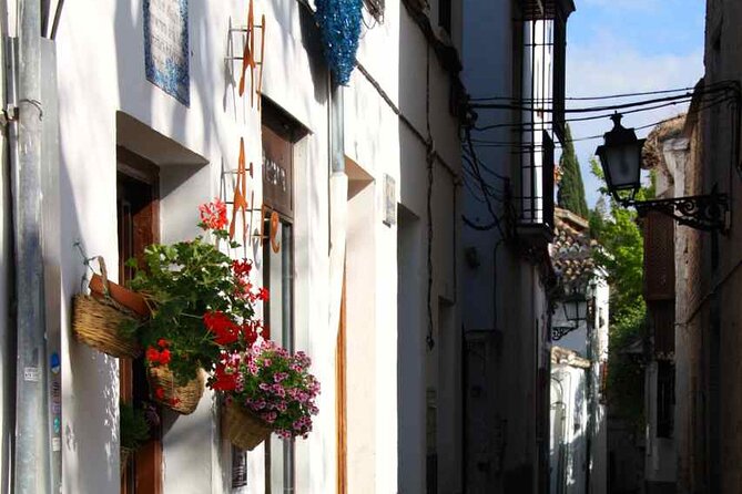 Albayzin and Sacromonte Guided Walking Tour in Granada - Tour Guides