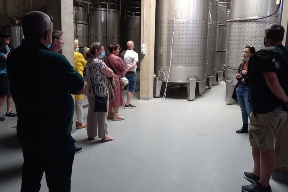 Albufeira: Winery Tour With Wine Tasting and Tapas - Additional Information