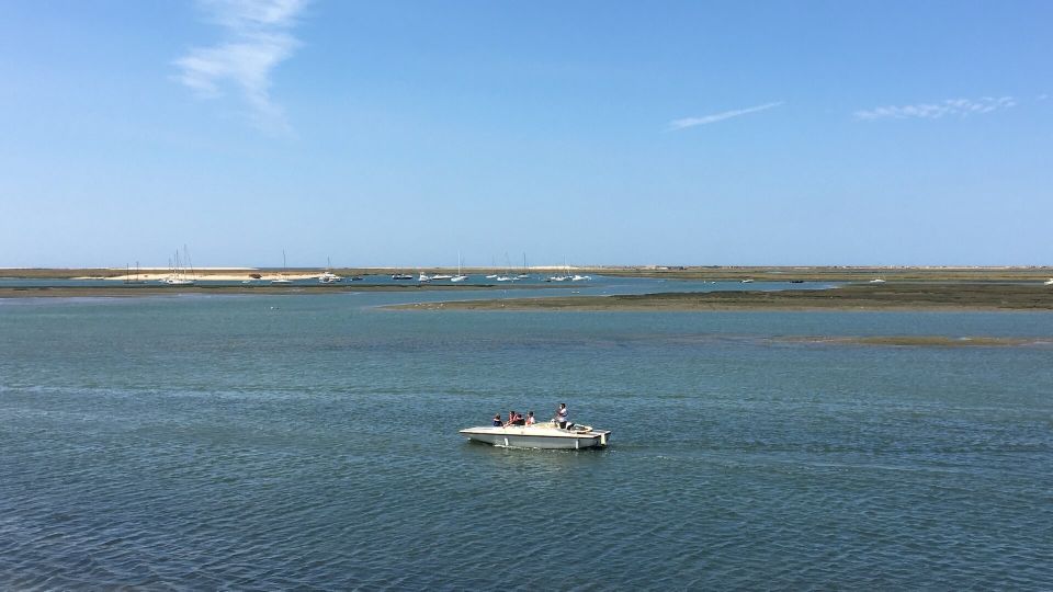 Algarve: Eco Boat Tour in the Ria Formosa Lagoon From Faro - Tour Highlights and Ratings