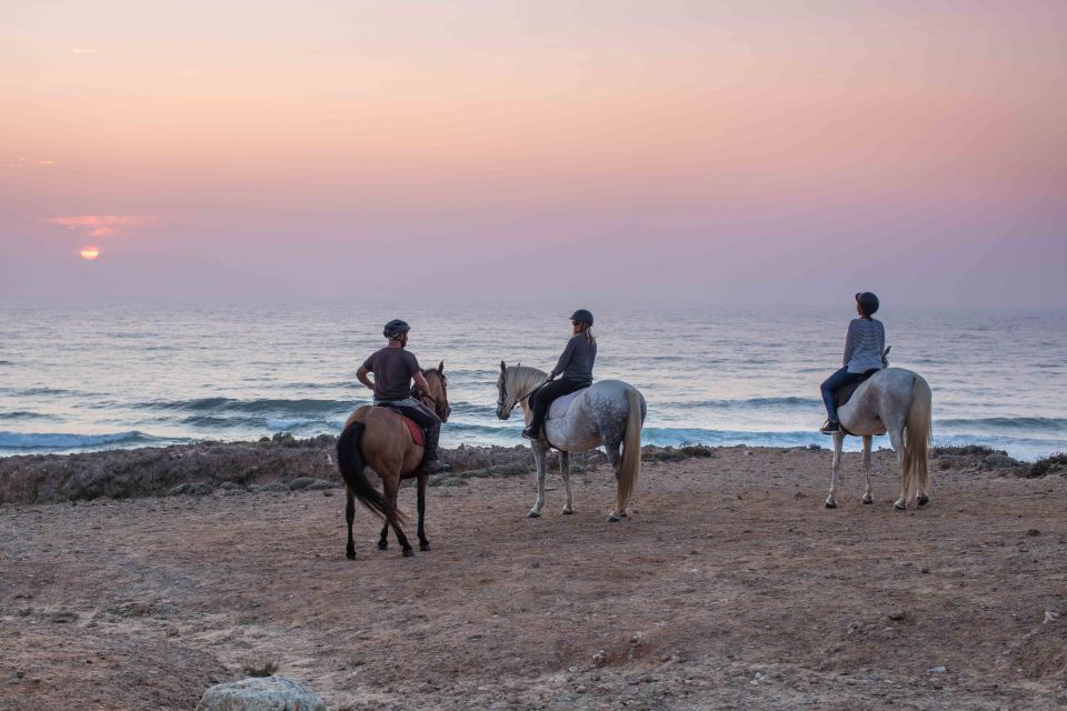 Algarve: Horse Riding Beach Tour at Sunset or Morning - Last Words